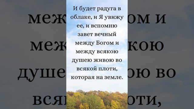 Бытие 9:16-17 (Русская Синодальная Библия) #библия #писание #русскаясинодальнаябиблия #бытие смотреть онлайн