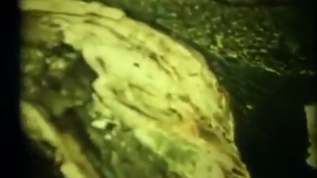 Сера и ее соединения смотреть онлайн