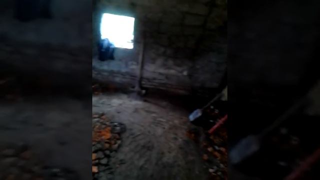 Начало постройки вольера для попугаев смотреть онлайн