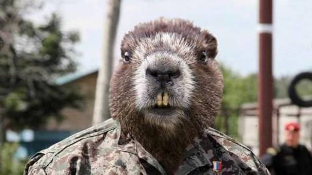 Завтра дождь песня: ЗАЕ ДАЙ БАЛ!