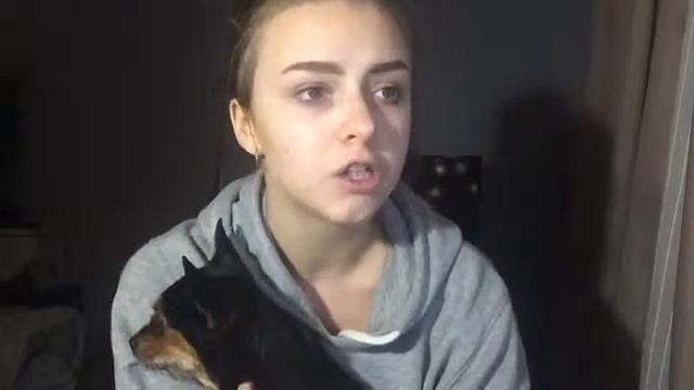 Шешина Лиза 6531 смотреть онлайн