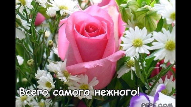 Помеченные фотографии51 3 смотреть онлайн