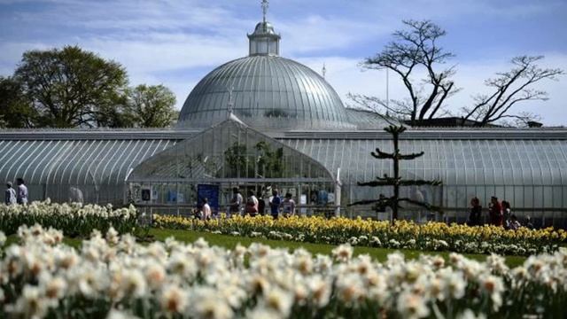 Weapon found in Glasgow's Botanic Gardens as armed police race to scene смотреть онлайн
