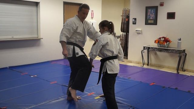 7.6.0 Naihanchin Bunkai Section-7: Counter to a Leg Kick and Knee Strike смотреть онлайн