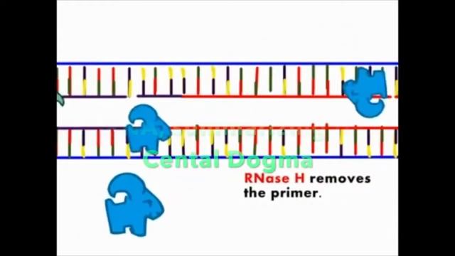 Central Dogma of Life смотреть онлайн
