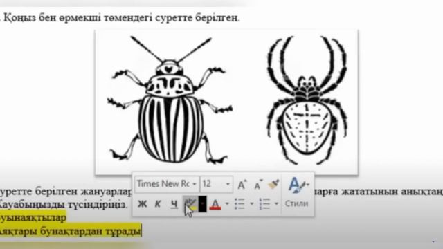 8 сынып класс биология 1 тоқсан ТЖБ смотреть онлайн