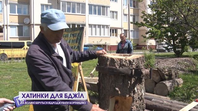 Бортництво повертається: на Волині бджолярі майструють дуплянки смотреть онлайн