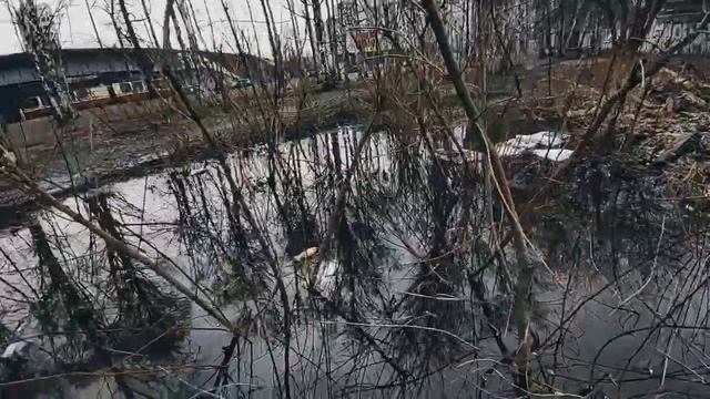 VID 20240331 140019 Бюрократично (Роберт Фрост)...Павел Васильев Лахтинский смотреть онлайн