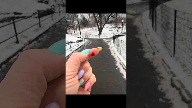 Наглые белки в центральном парке Нью Йорка 17 января 2024 г. смотреть онлайн