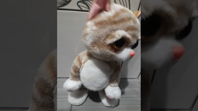 Котёнок Сэм (для Avito) смотреть онлайн