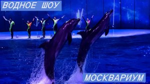 МОСКВАРИУМ ВОДНОЕ ШОУ..ДЕЛЬФИНЫ.ЖИВАЯ МУЗЫКА «Морская симфония»