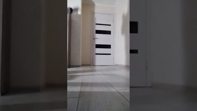 Кэпик.mp4 смотреть онлайн