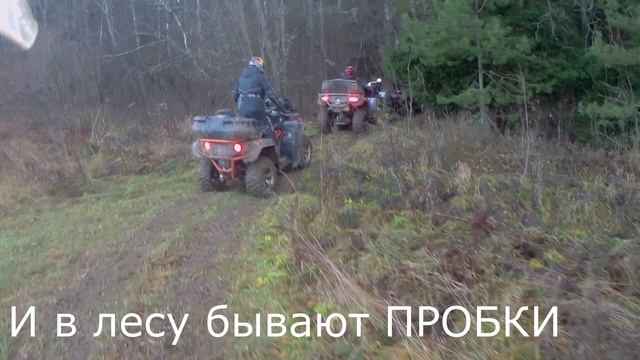 БУНКЕР & СОСНЫ . смотреть онлайн