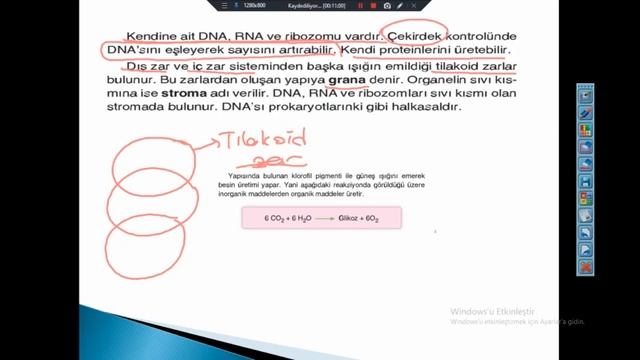 EMİNE NURDAN EKERBİÇER-HÜCRE ORGANELLERİ(3)-9.SINIF смотреть онлайн