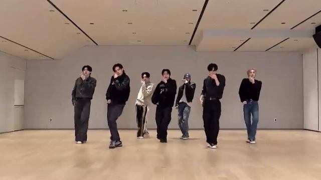 ENHYPEN - "No doubt", MIRROR DANCE PRACTICE смотреть онлайн