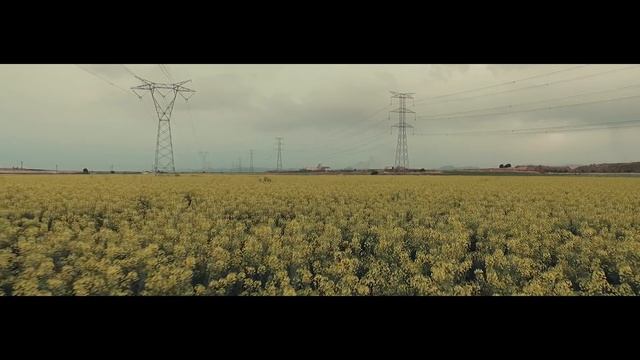 JARO † CRISTO & SIN-H // BIG FISH [El Blues de los Ahogados] смотреть онлайн
