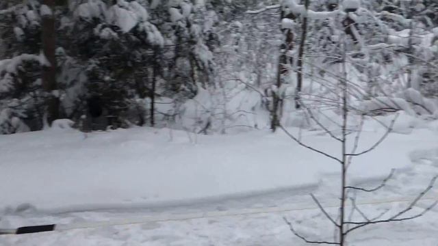 На могилу разведчиков смотреть онлайн