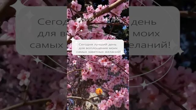 Аффирмация дня #Скажи_мечте_ДА #СкажимечтеДА#мечта смотреть онлайн