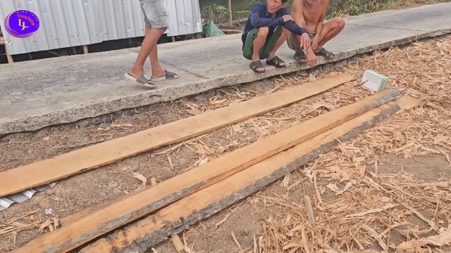 Sự Thật Người Phụ Nữ Vi Con Chó Mà Hấp Hối Chờ Chếttt .Tại Kiên Giang смотреть онлайн
