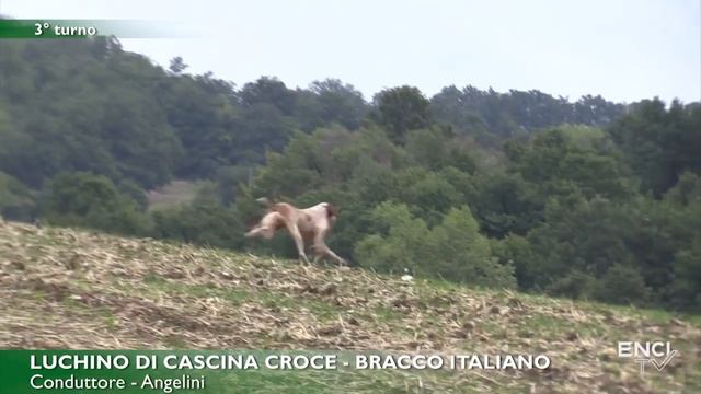 MONDIALE BRACCO ITALIANO prima parte смотреть онлайн