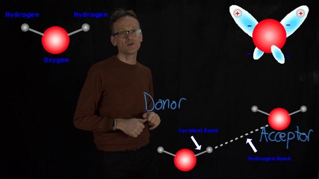 Lecture 02, concept 16: Hydrogen bonds - orbitals, donors and acceptor смотреть онлайн