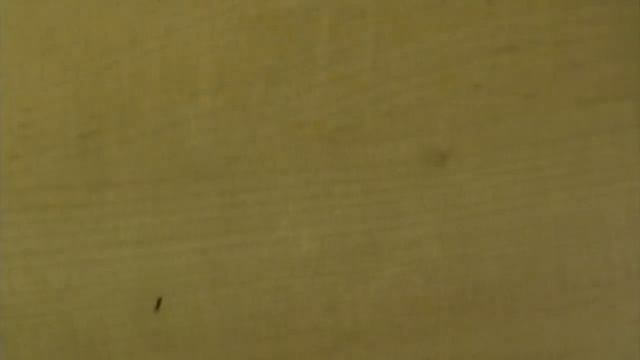 Coupon Genie смотреть онлайн