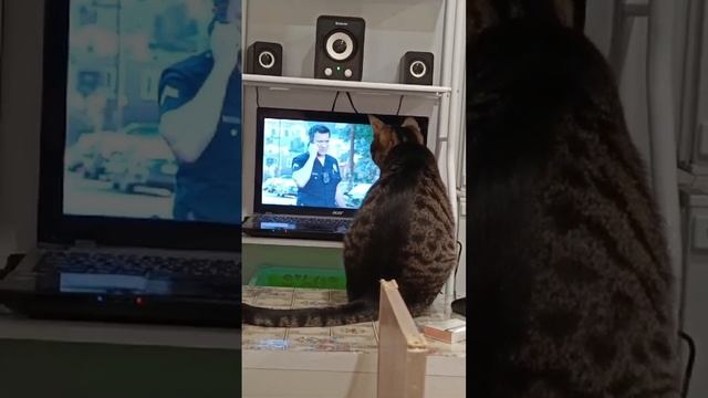 Ох уж это Кони смотреть онлайн