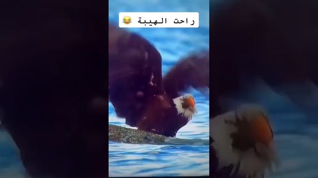 что там происходит смотреть онлайн