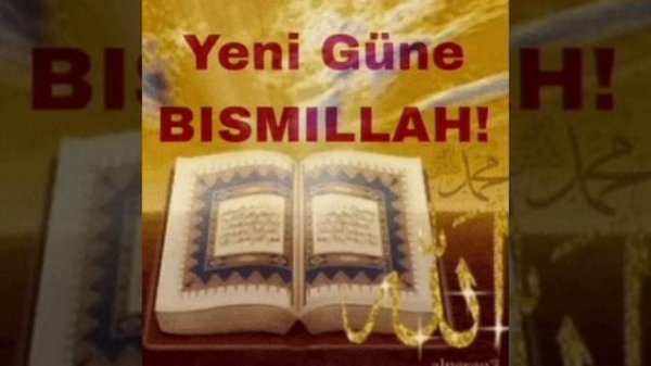 зикр  зкр зик зирлар mp4