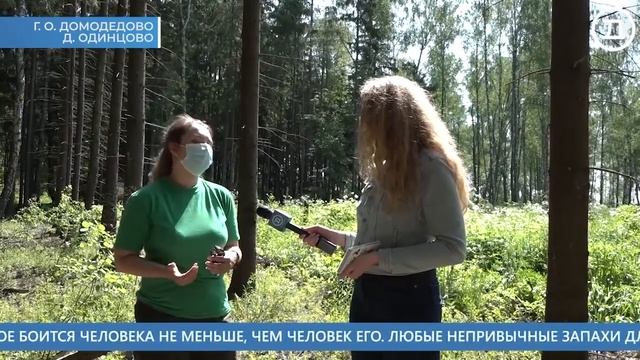16.06.2020 Домодедово. Главные события смотреть онлайн