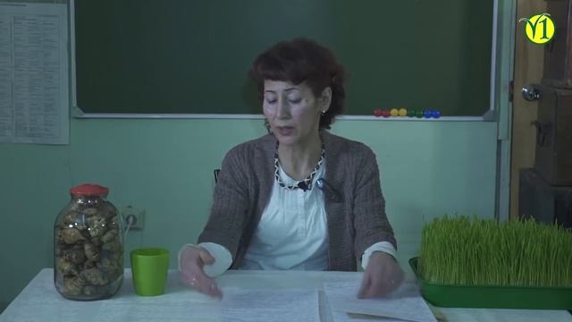 Личная История пути в сыроедении Гании Александровны Замалеевой смотреть онлайн