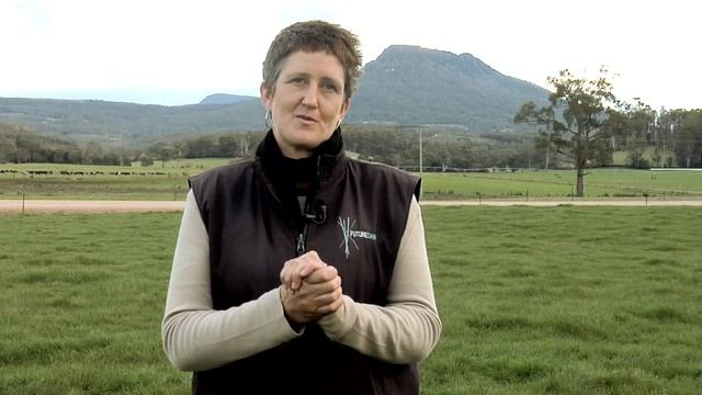 AMR Research summary смотреть онлайн