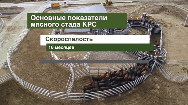 Презентационный фильм Jizzax Organic