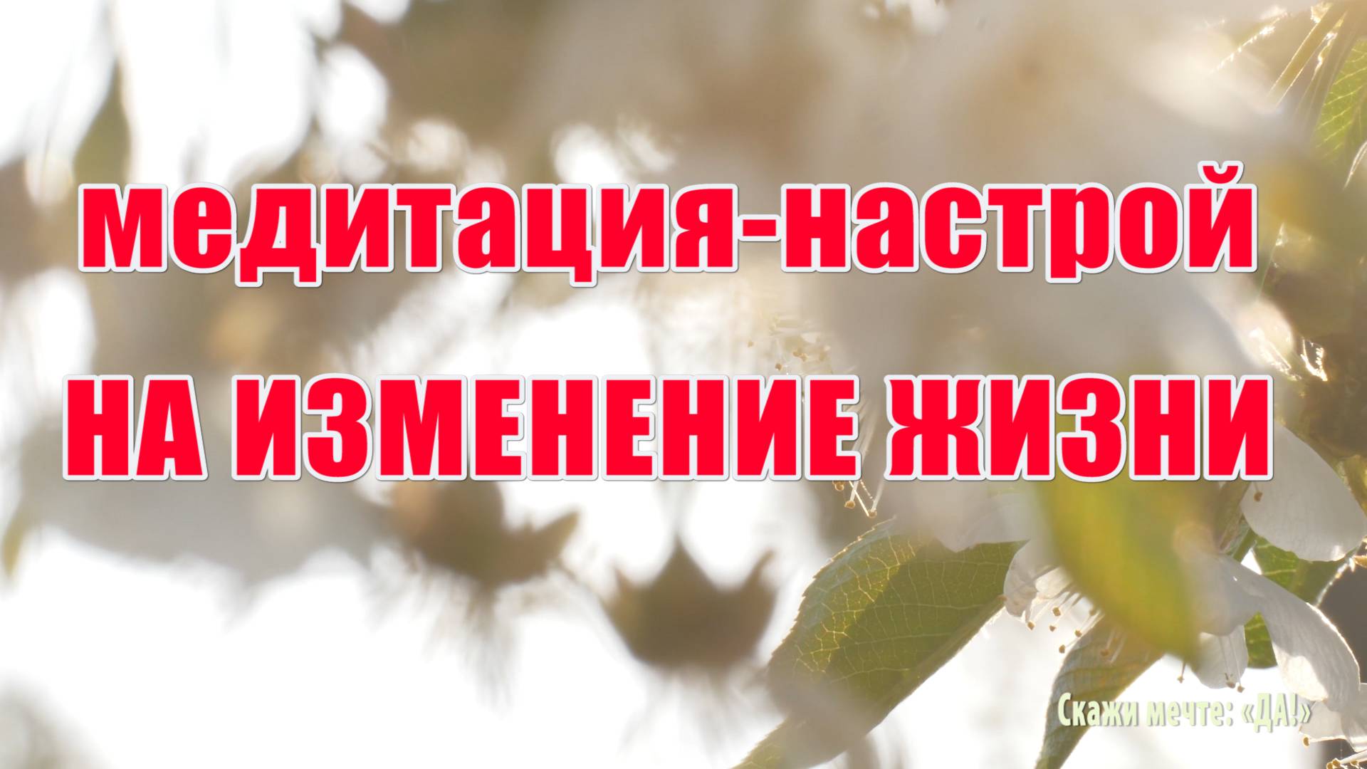 Медитация на изменение жизни смотреть онлайн