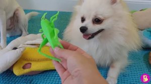 БУТЕРБРОД ЧЕЛЛЕНДЖ** ЧТО в МЕШКЕ? ЕДА или ГАДОСТЬ?** ВЫБЕРИ ПРАВИЛЬНЫЙ ИНГРЕДИЕНТ