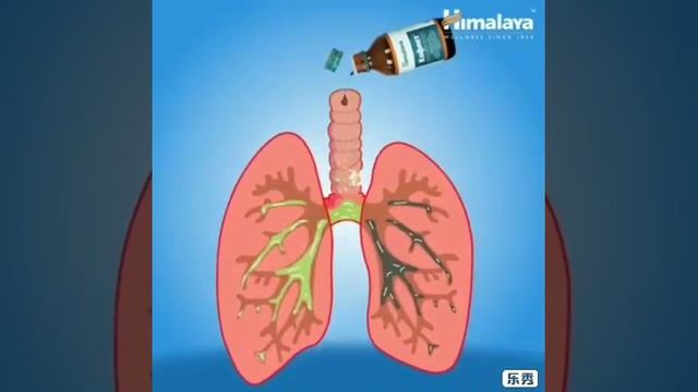 Himalaya KOFLET syrup & KOFLET EX syrup смотреть онлайн