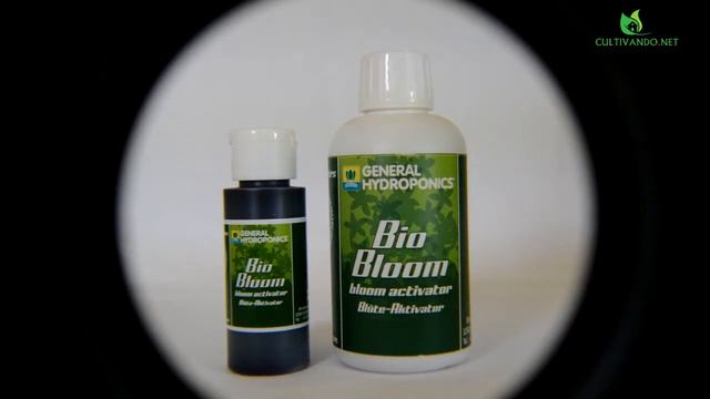 BIO BLOOM DE GENERAL HYDROPONICS смотреть онлайн
