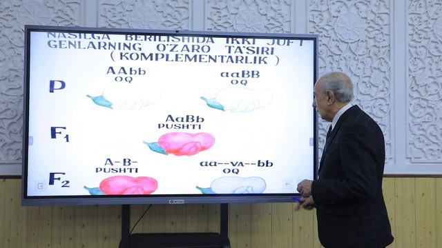 Mavzu: Allelmas genlarning o'zaro ta'siri natijasida belgilarning naslga berilishi смотреть онлайн