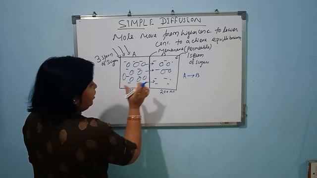 Simple Diffusion||Transport through Plasma membrane || смотреть онлайн