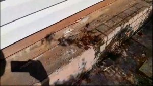 Замена нижнего венца в брусовом доме