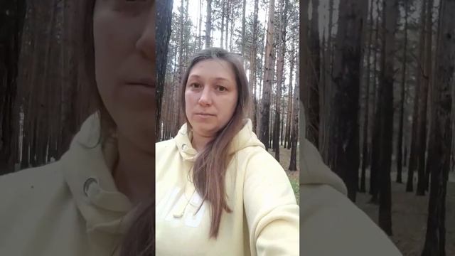 как приучить белку смотреть онлайн