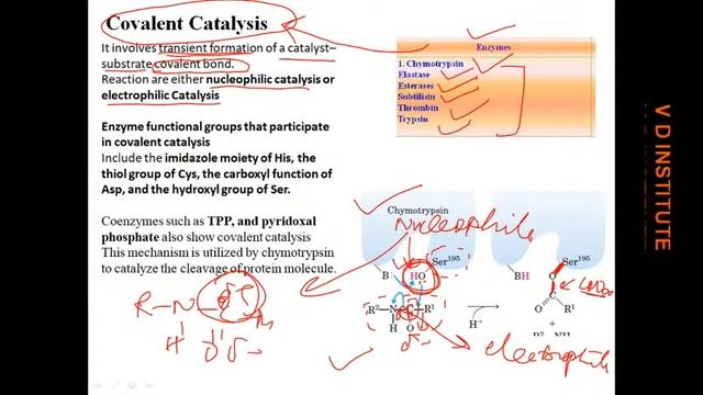 Principles of Enzyme catalysis-1-F-Lec 1 (acid-base catalysis, metal ion catalysis) смотреть онлайн