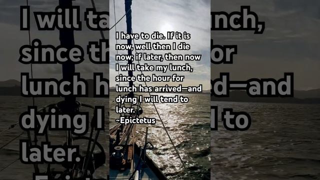 Love this quote. #sailing #stoicism смотреть онлайн