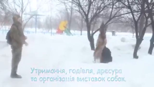 video 1549992683 смотреть онлайн