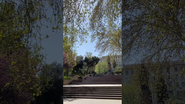 Харуки Мураками «О чем я говорю, когда говорю про бег» 🏃🏻♀️ смотреть онлайн