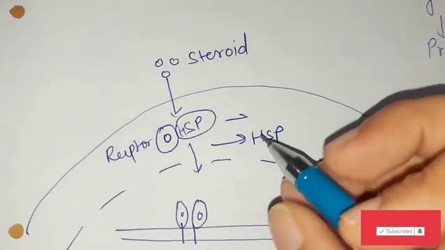 What are receptors, intracellular receptors,difference steroid hormone and thyroid hormone receptor смотреть онлайн