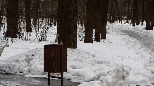 Белка орех из руки смотреть онлайн