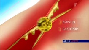 Реклама Аква Марис Норм