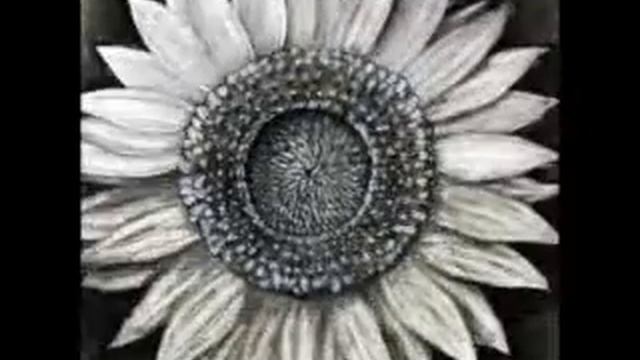 sunflower haiku смотреть онлайн