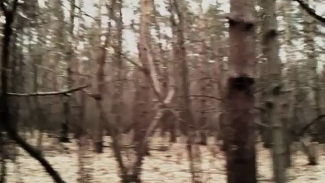 Группа "Дети Хурмы" - "Осень" (официальное видео) смотреть онлайн